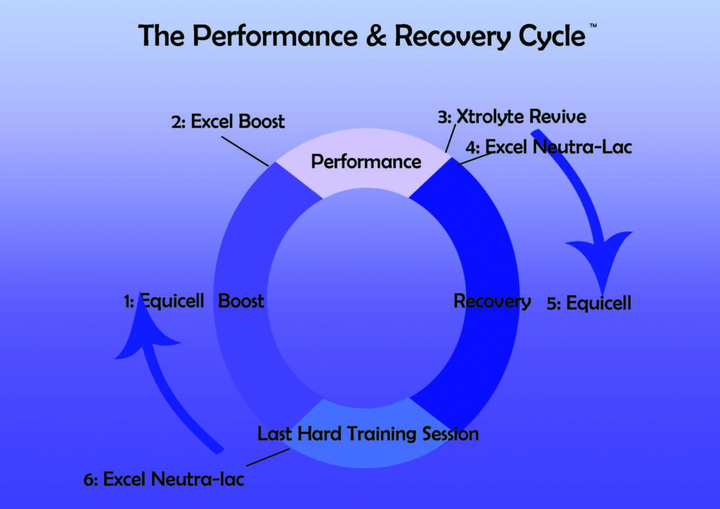 Performance and Recovery Cycle